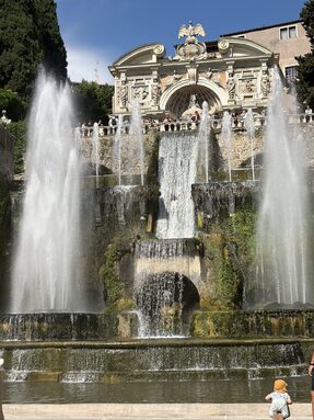 IMG_1603.jpeg